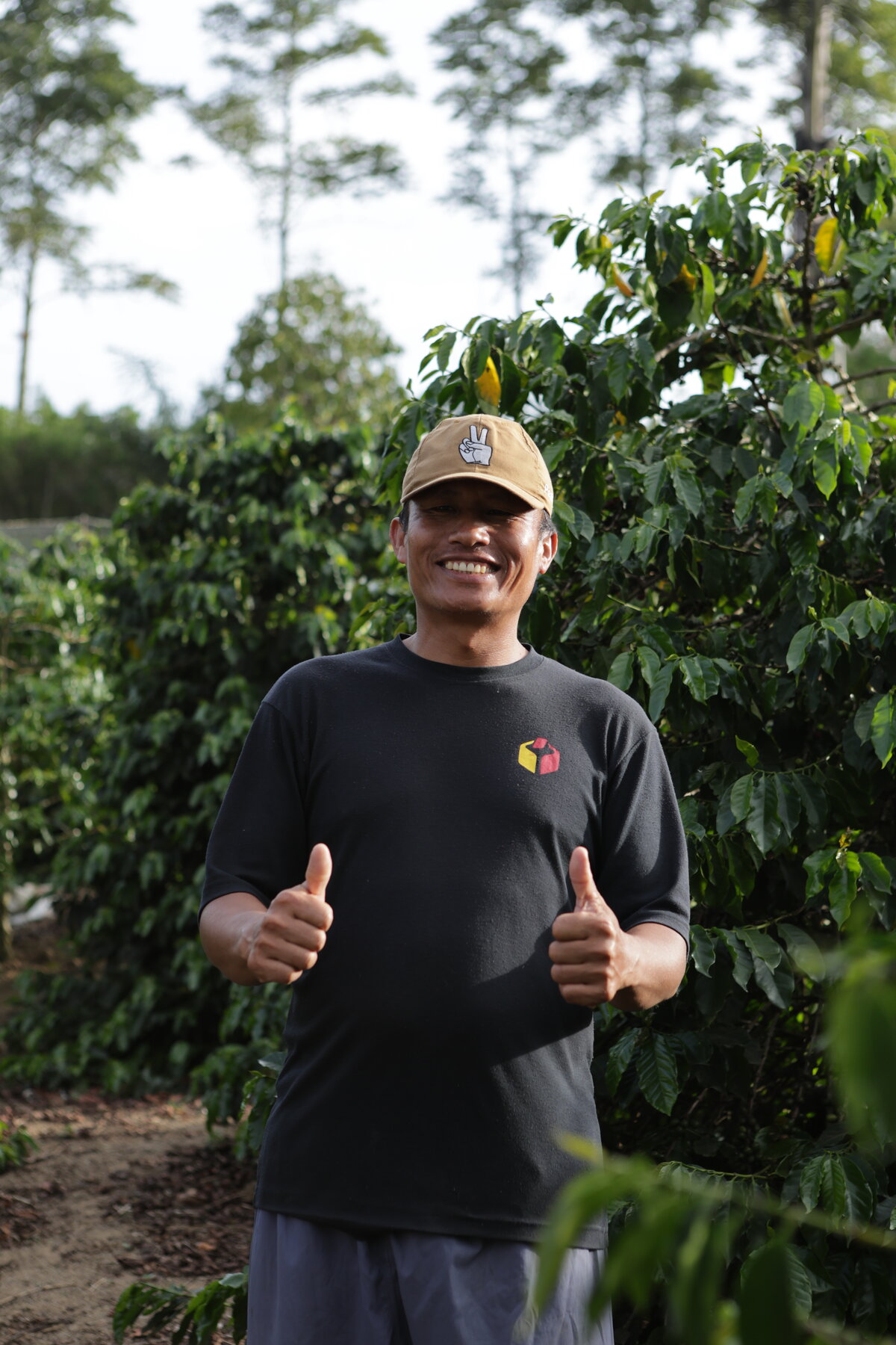 Farmers working together in the coffee highlands