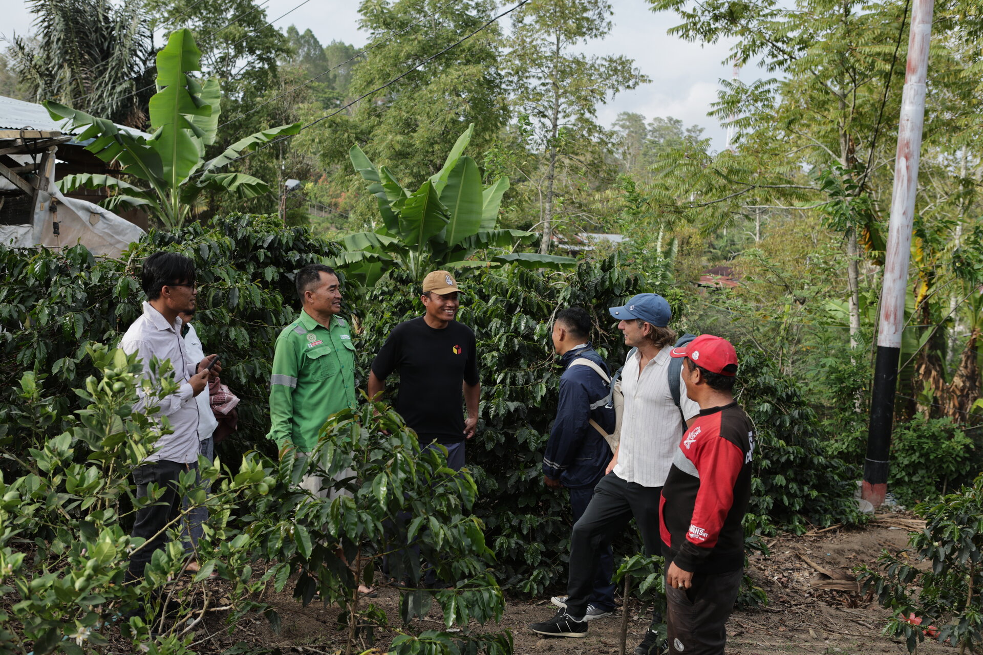 Coffee farmers in the Lake Toba highlands